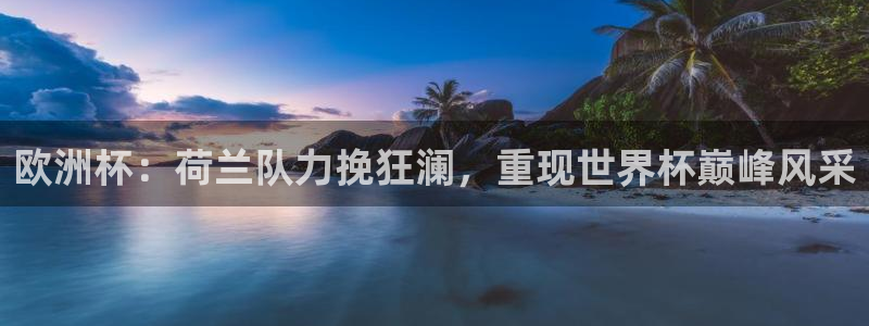 世界杯直播:欧洲杯:荷兰队力挽狂澜,重现世界杯巅峰风采