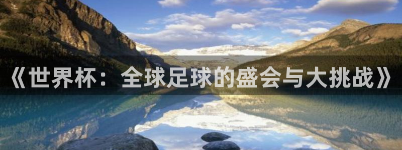 世界杯在线直播入口:《世界杯:全球足球的盛会与大挑战》