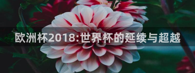 世界杯足球2026:欧洲杯2018:世界杯的延续与超越