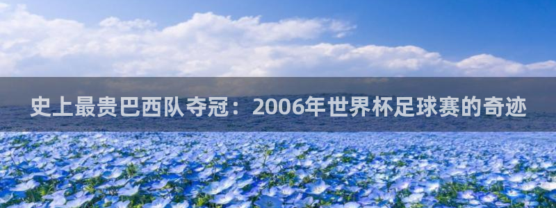 世界杯决赛圈球队:史上最贵巴西队夺冠:2006年世界杯足球赛的奇迹